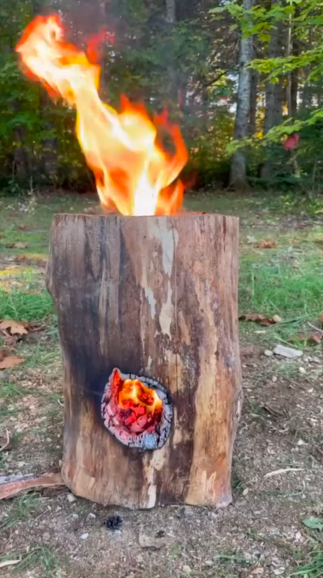 cooking with a log