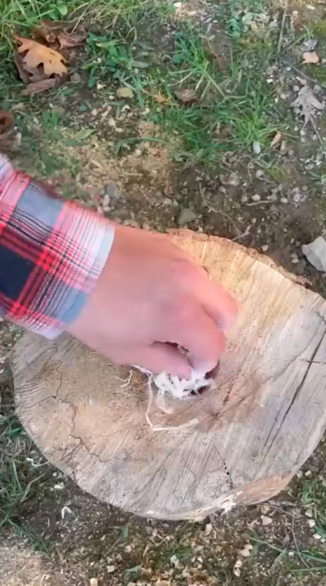 cooking with a log